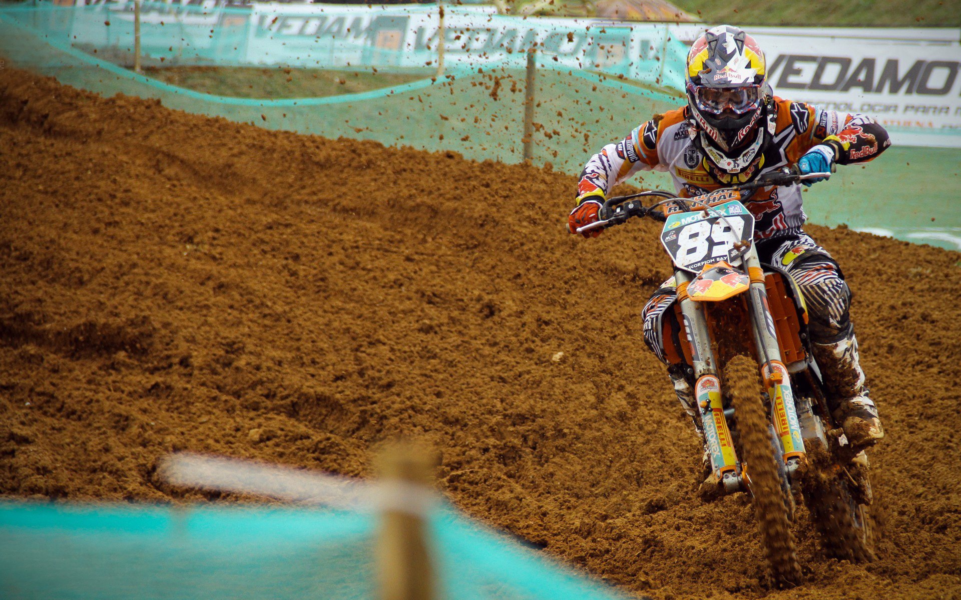 德国女队重回仰泳传统强项，德国女选手